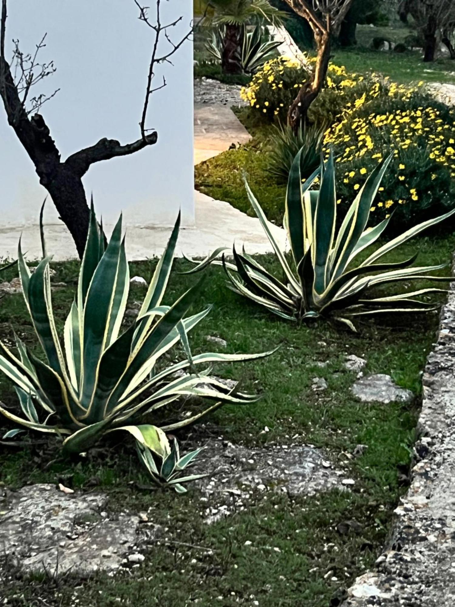 Отель Syconium Trullo And Lamia Gea Charme And History Остуни Экстерьер фото